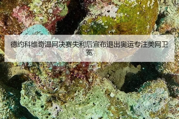 de-yue-ke-wei-qi-wen-wang-jue-sai-shi-li-hou-xuan-bu-tui-chu-ao-yun-zhuan-zhu-mei-wang-wei-mian-3-866.jpg